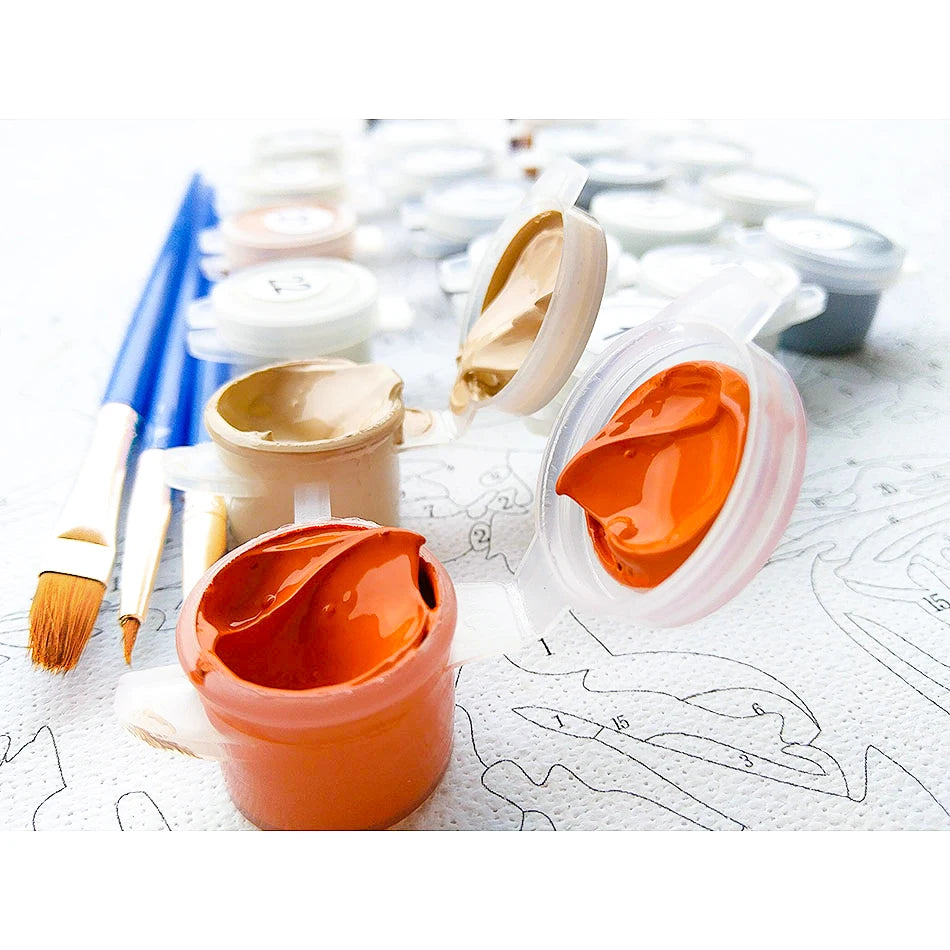 Paint by numbers for adults young girls Anime Elf
