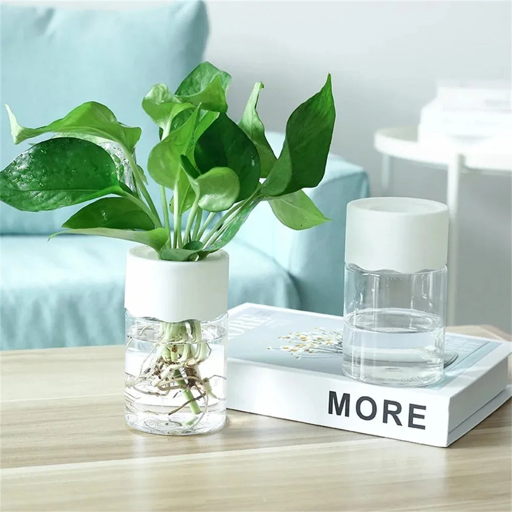 Mini pot / vase Hydroponique