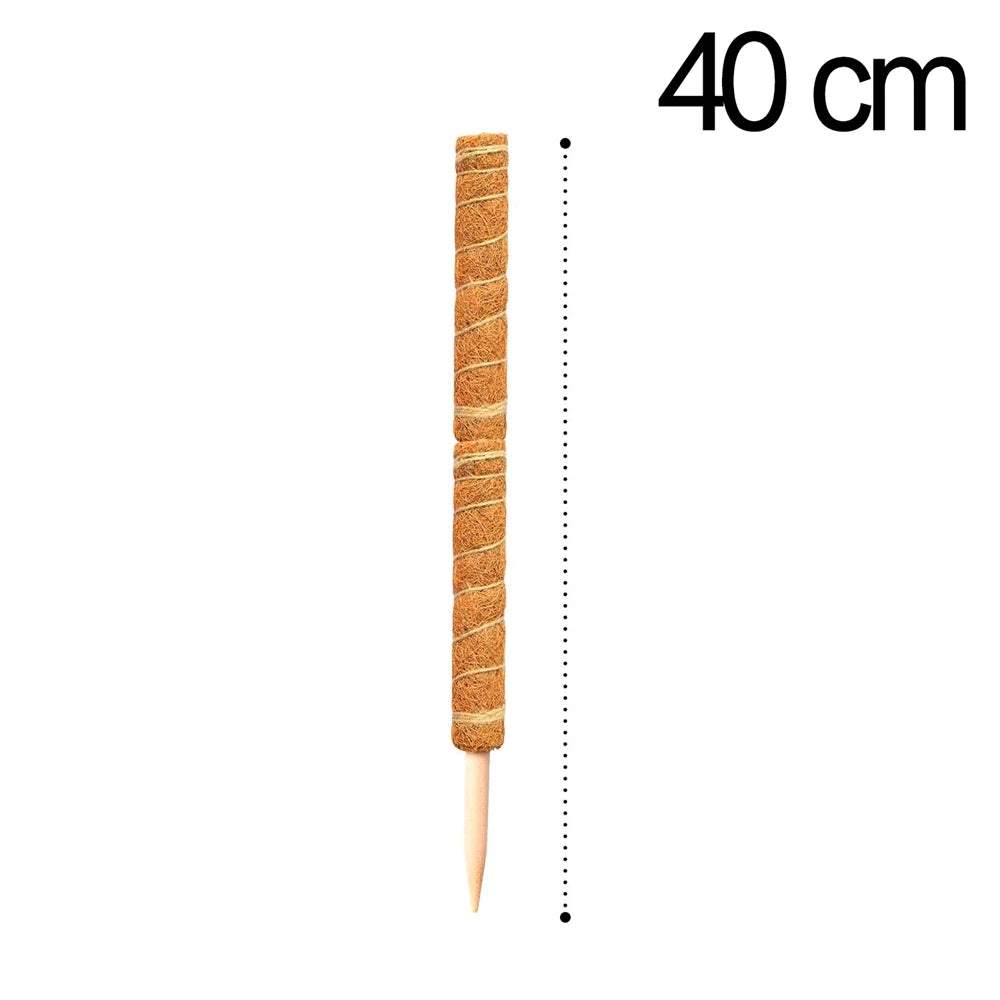 Poteau de support en coco pour plantes grimpantes