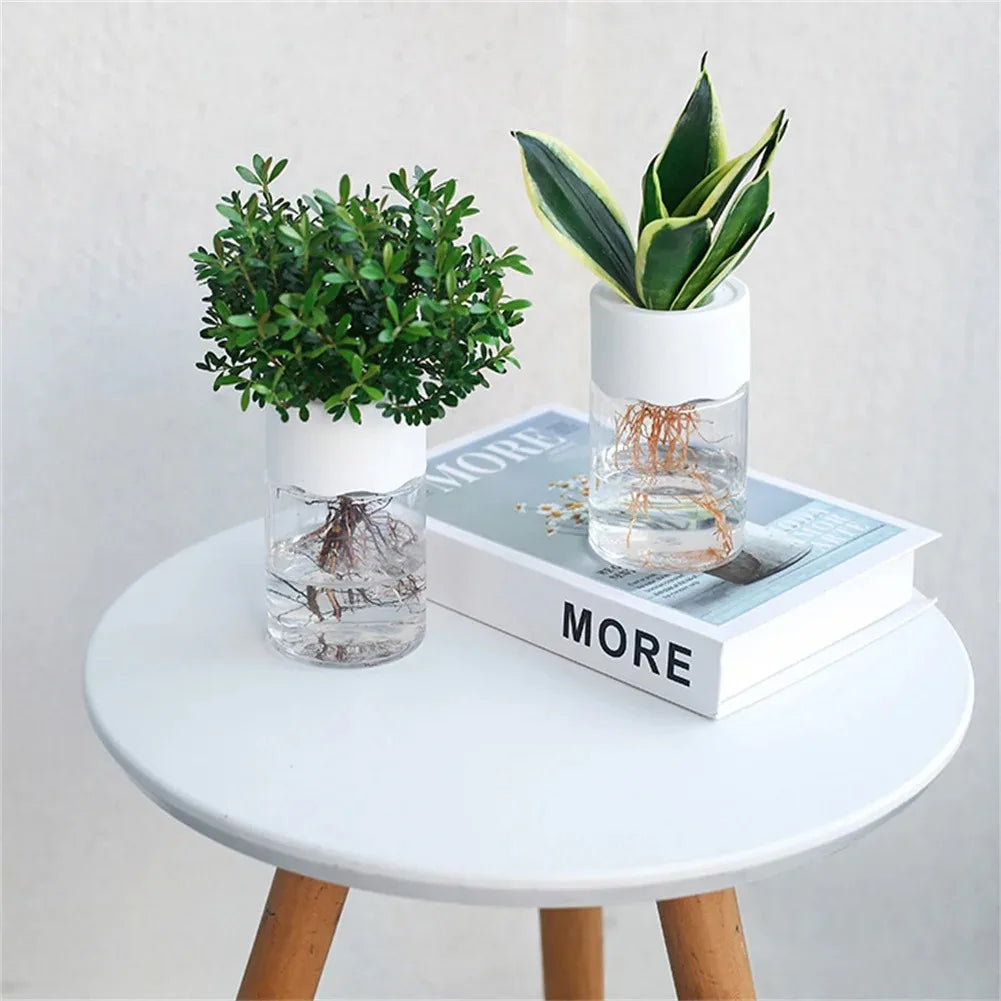 Mini pot / vase Hydroponique