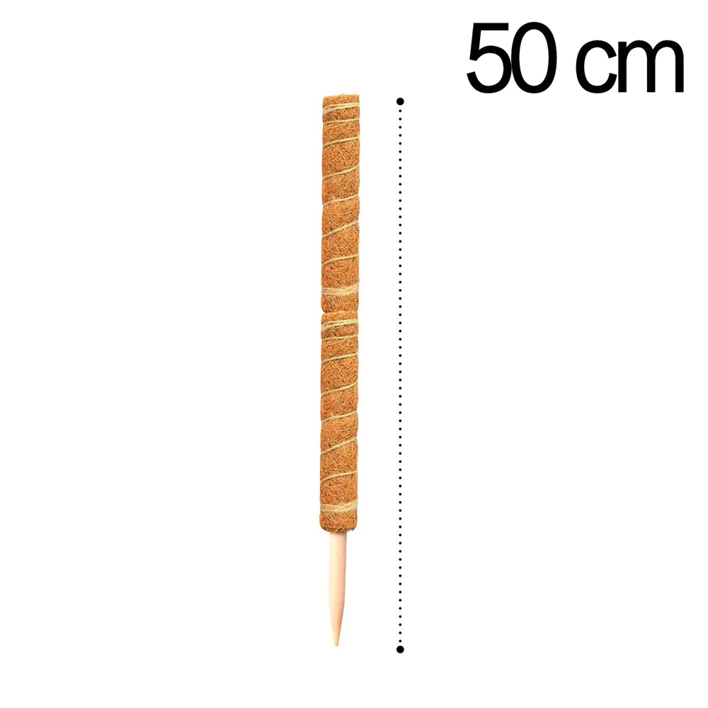 Poteau de support en coco pour plantes grimpantes