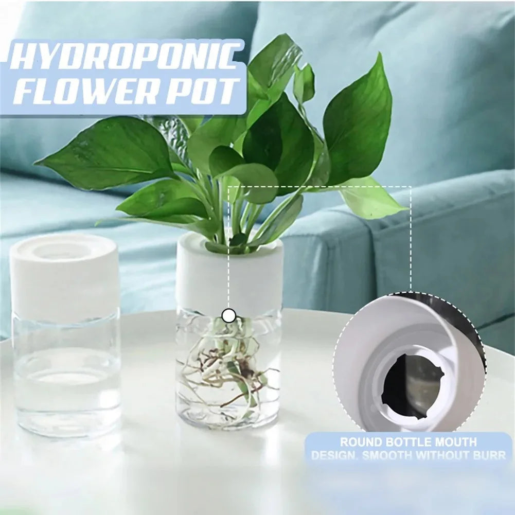 Mini pot / vase Hydroponique