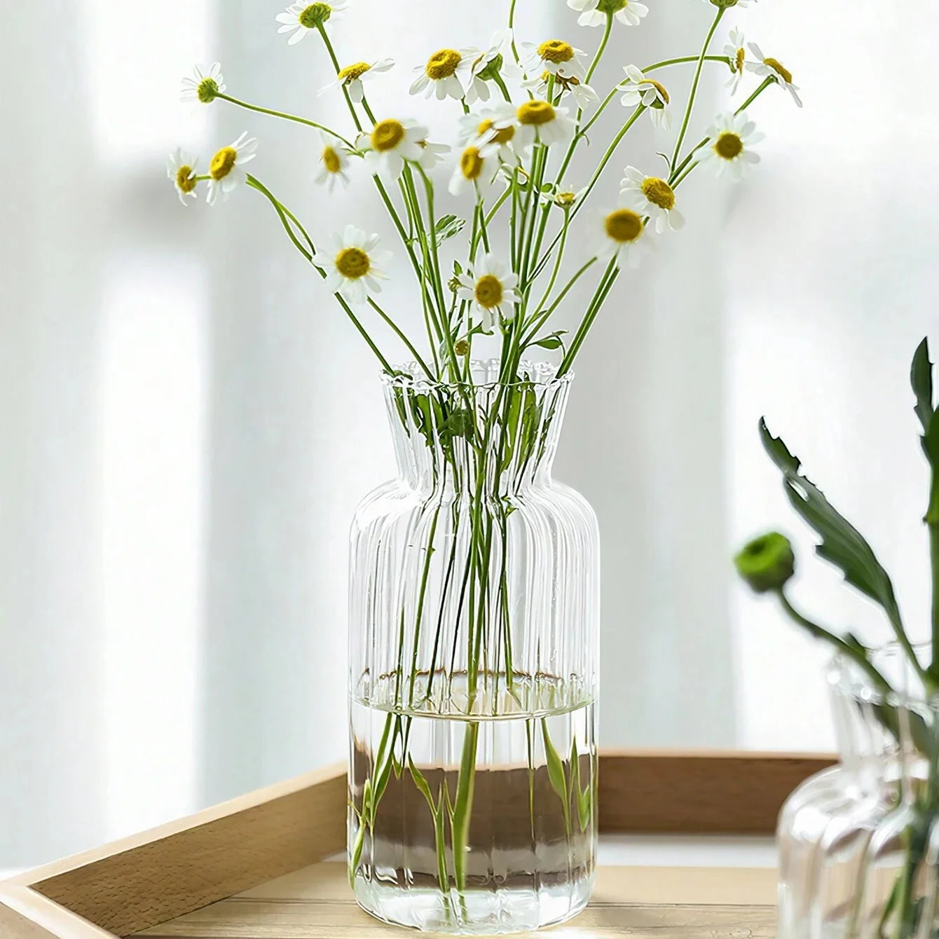 Vases transparent de style nordique