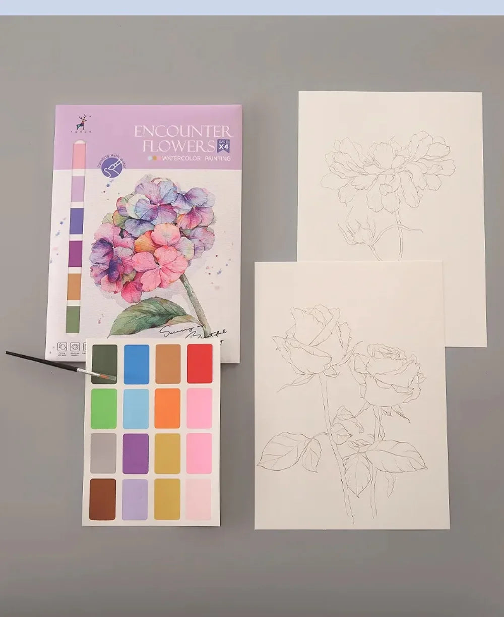 Pencil or Watercolor Coloring Book