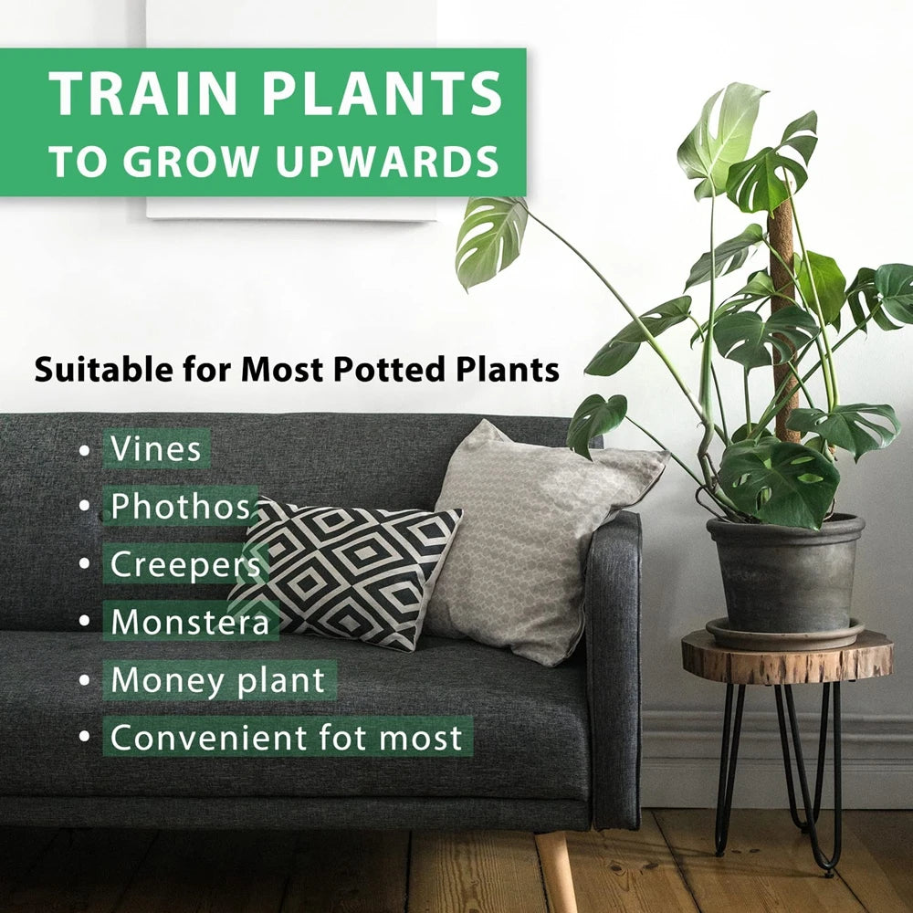 Poteau de support en coco pour plantes grimpantes