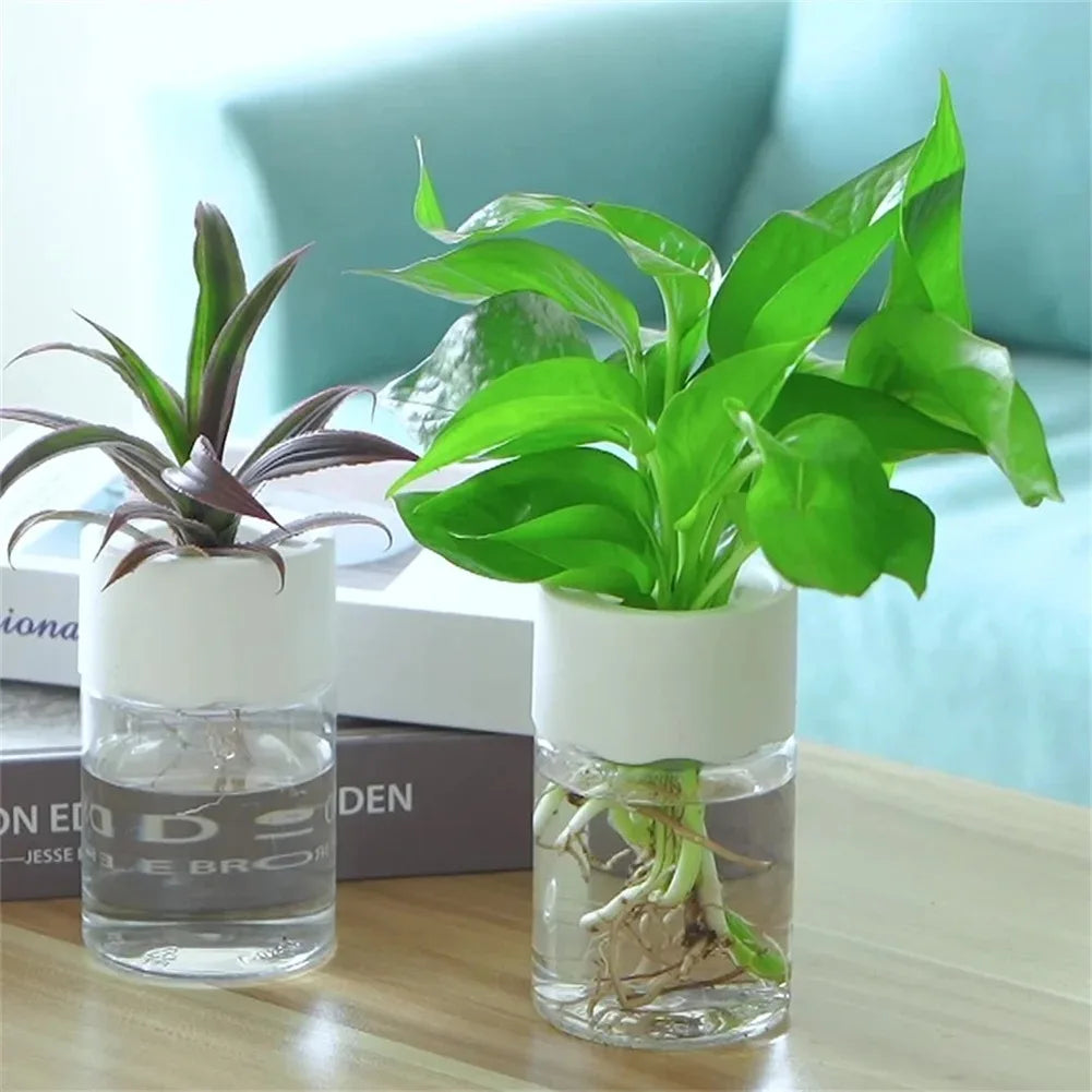 Mini pot / vase Hydroponique