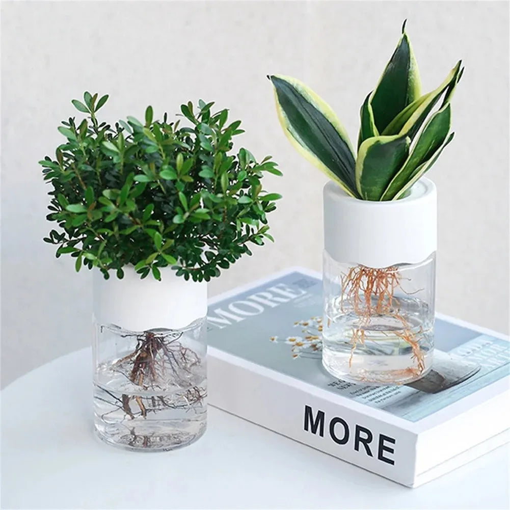 Mini pot / vase Hydroponique