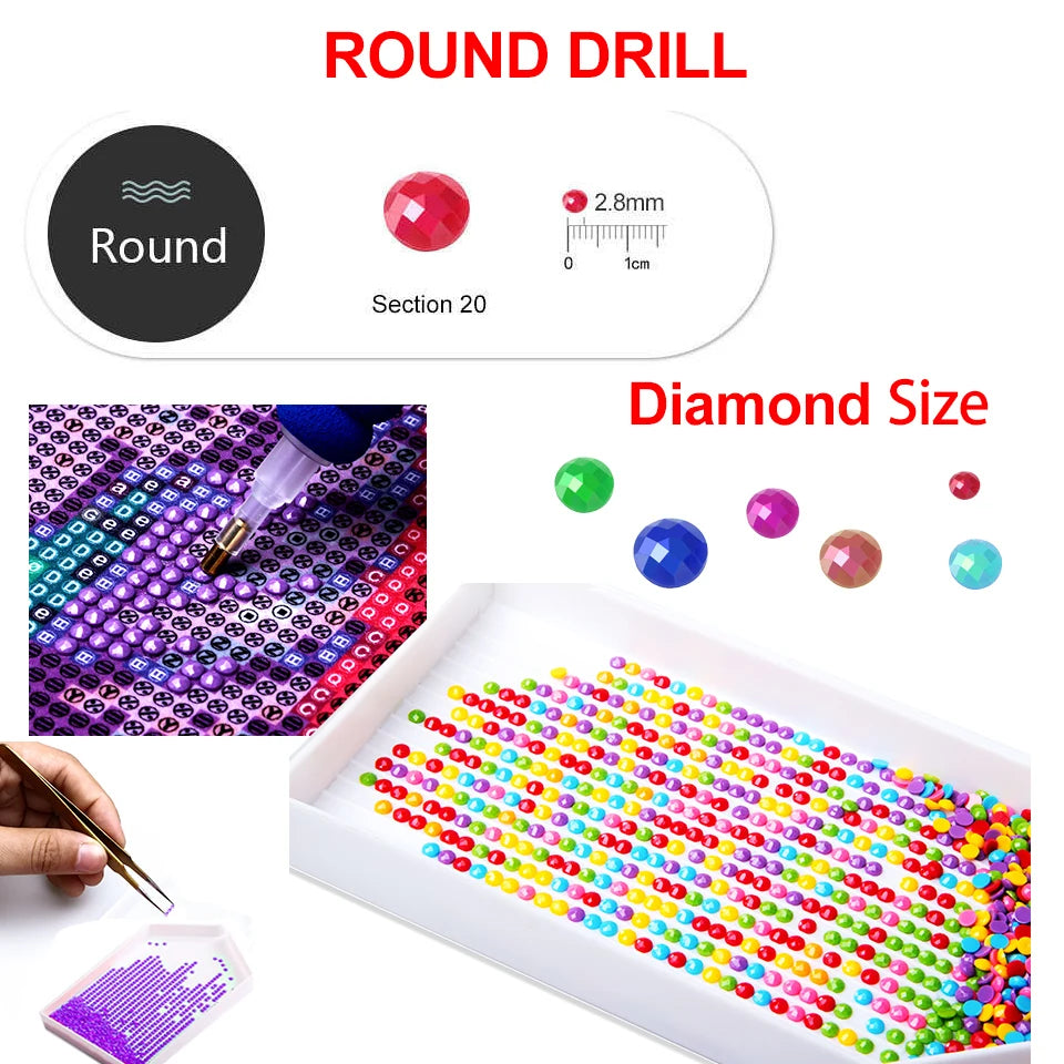 Pinturas de diamantes Mujer en un campo