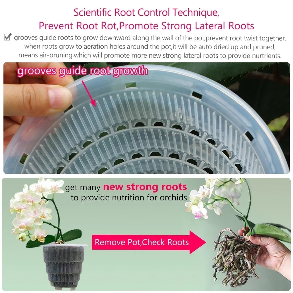Macetas de plástico para orquídeas de 12 o 15 cm, jardinera de interior transparente de doble capa, contenedor para plantas