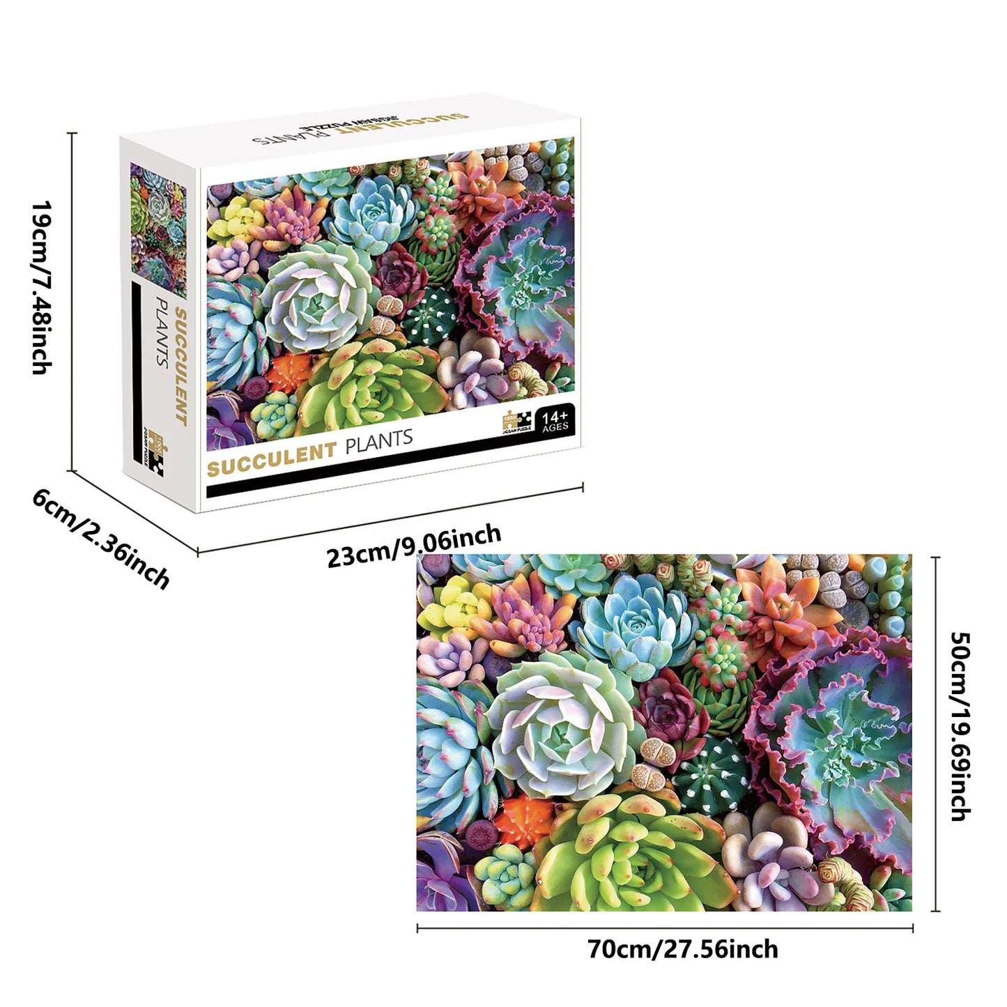 Puzzle de 1000 Pièces Plantes Succulentes