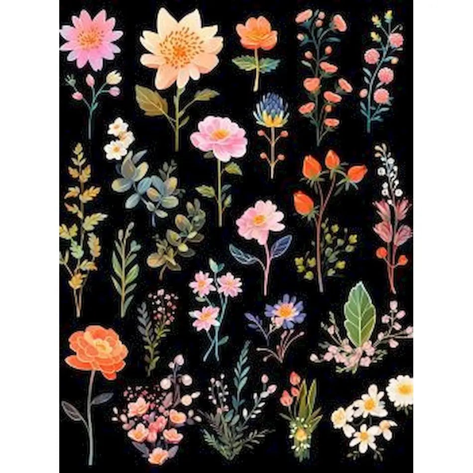 Peintures par numéros fleurs colorées