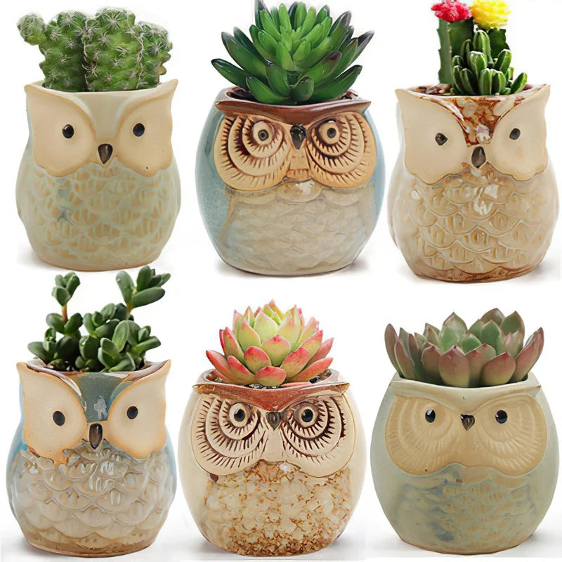 Small Owl-shaped pot