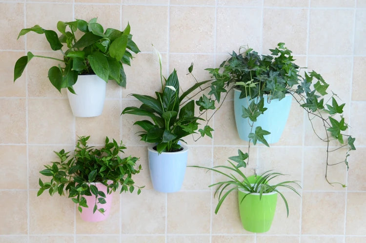 Self-watering wall-mounted plant pot