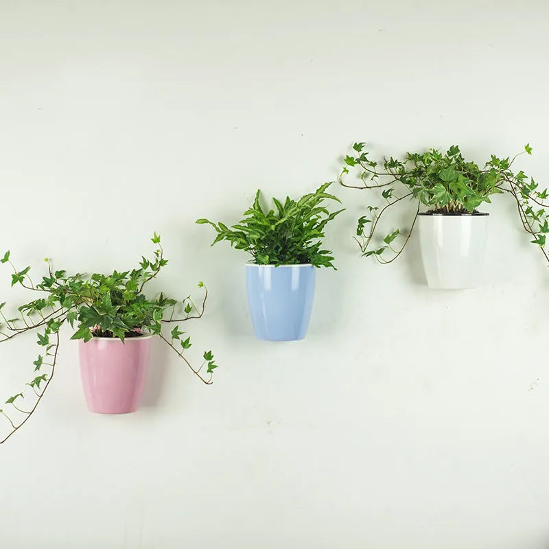 Self-watering wall-mounted plant pot