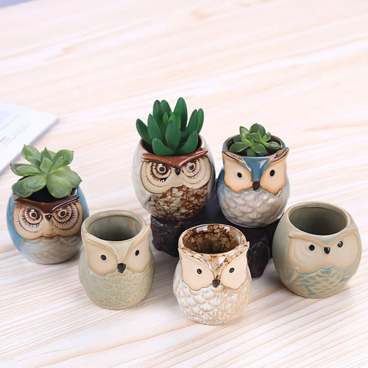 Small Owl-shaped pot