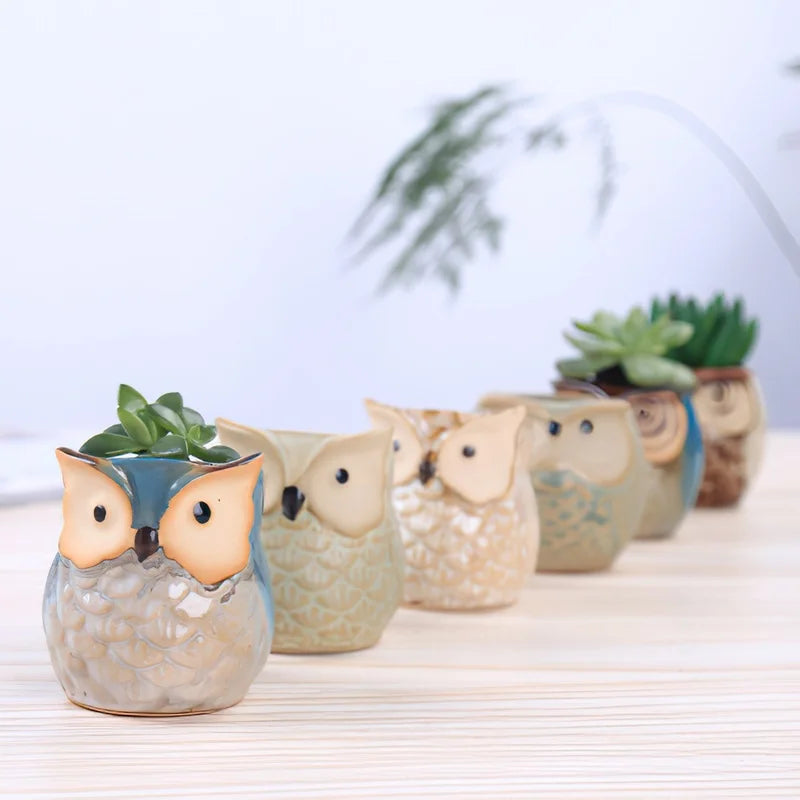 Small Owl-shaped pot