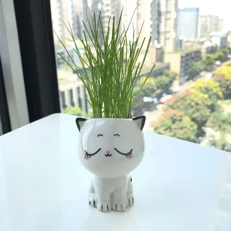 Mini Ceramic Cat Pot