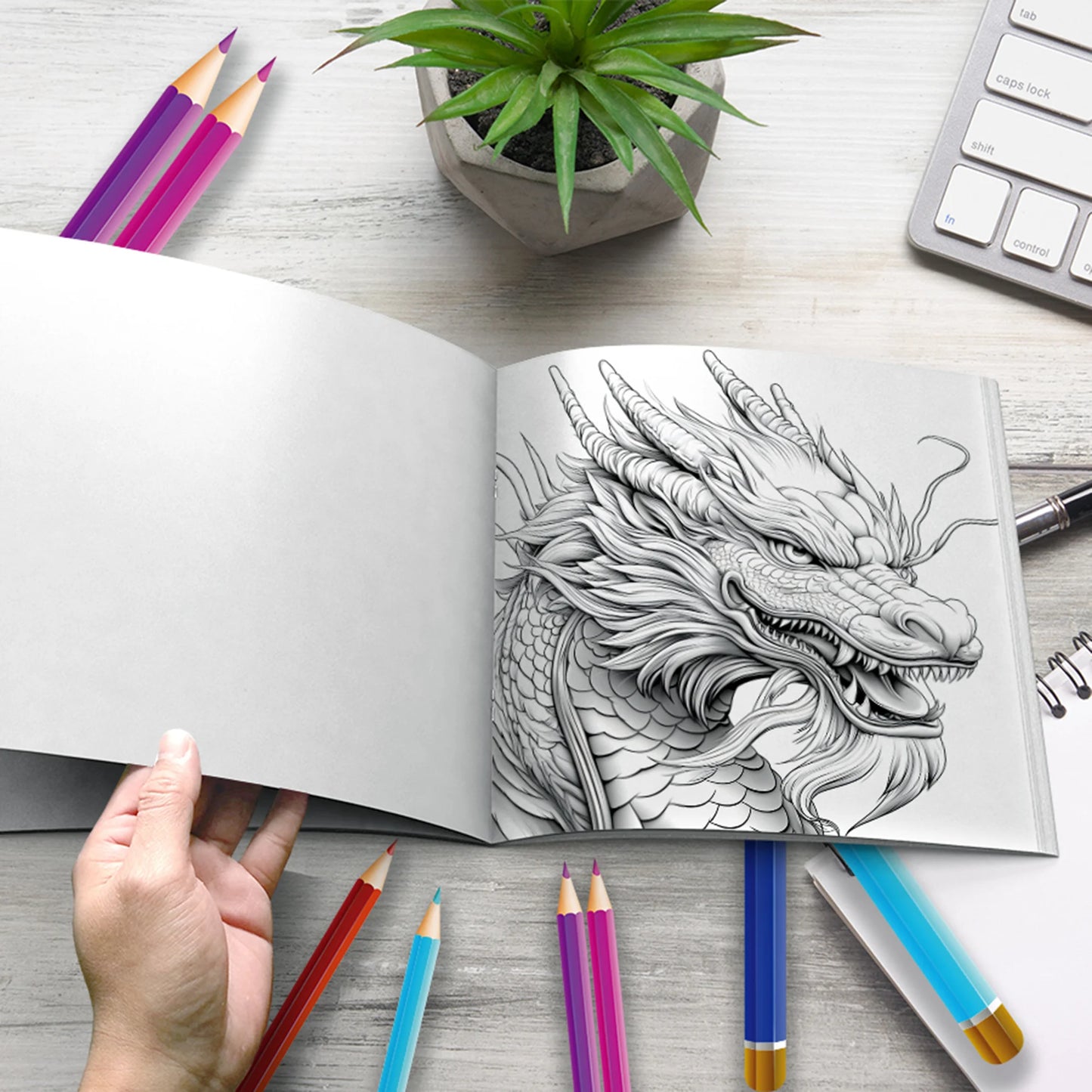 Livre de coloriage pour adultes Dragons