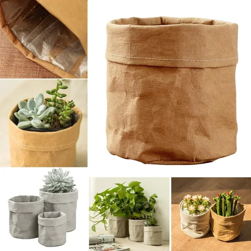 Pots en papier Kraft lavable