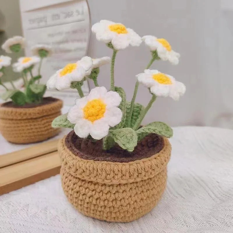 DIY Crochet Kit for Beginners Flowers: Tulip Daisy Sunflower Rose