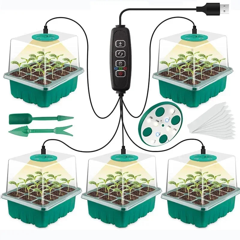 Mini invernadero para plántulas con luces