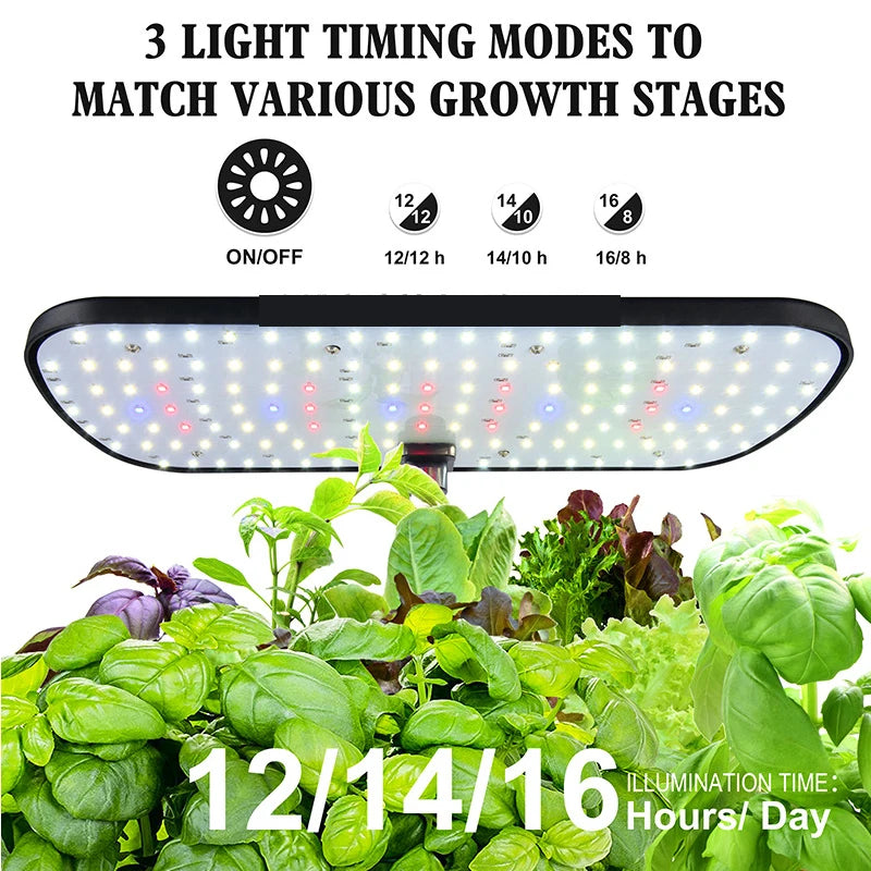 8 Hole Hydroponic System