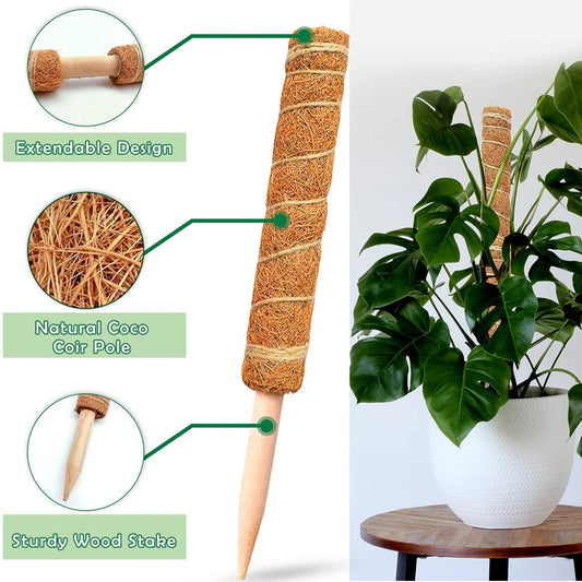 Poteau de support en coco pour plantes grimpantes