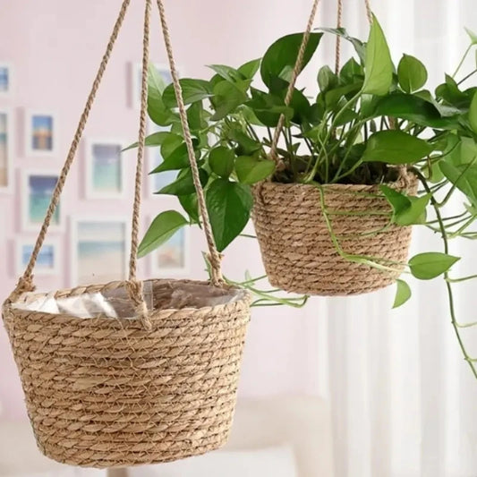 1 hanging basket