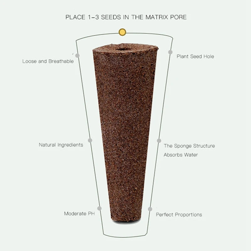 8 Hole Hydroponic System