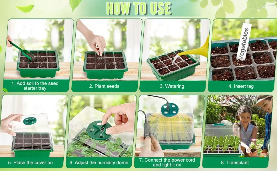 Mini Greenhouse for seedlings with lights