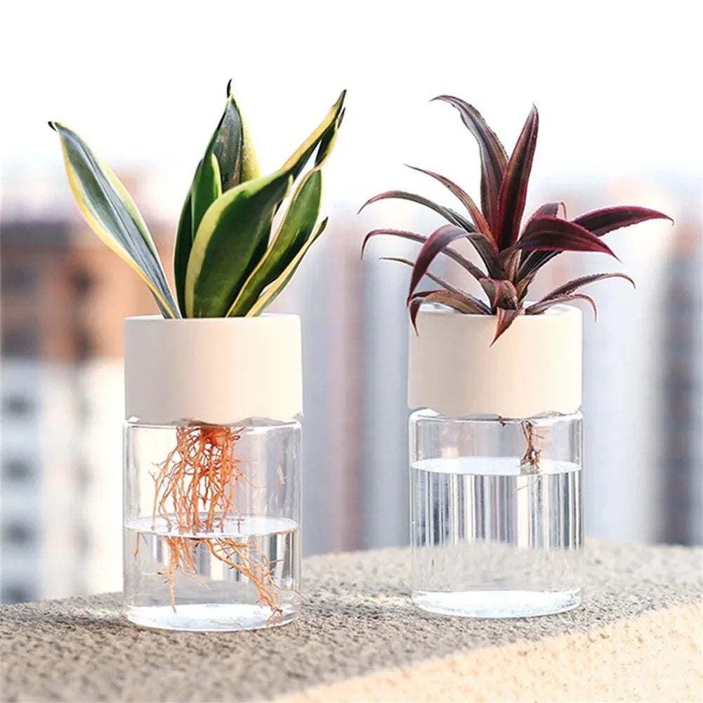 Mini pot / hydroponic vase