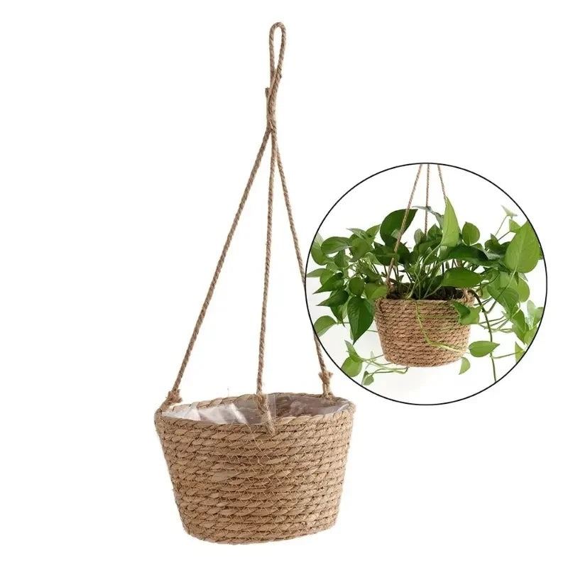 1 hanging basket