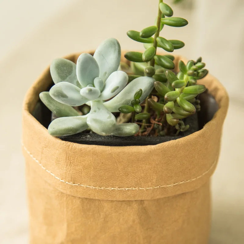 Pots en papier Kraft lavable