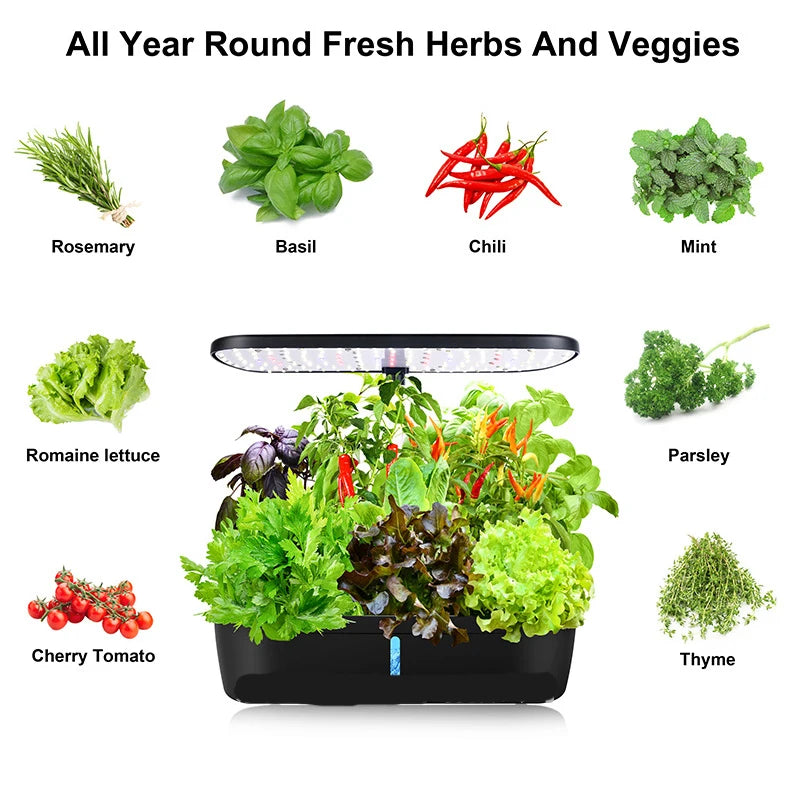 8 Hole Hydroponic System