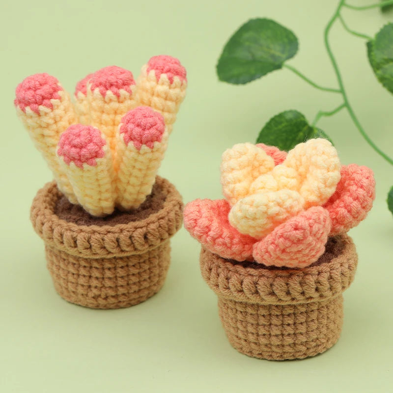 Kit de crochet pour débutant 3 ou 6 modèles Plantes