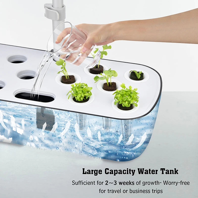 8 Hole Hydroponic System