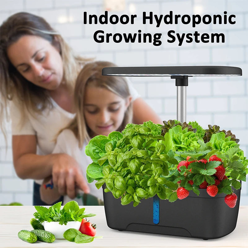 8 Hole Hydroponic System