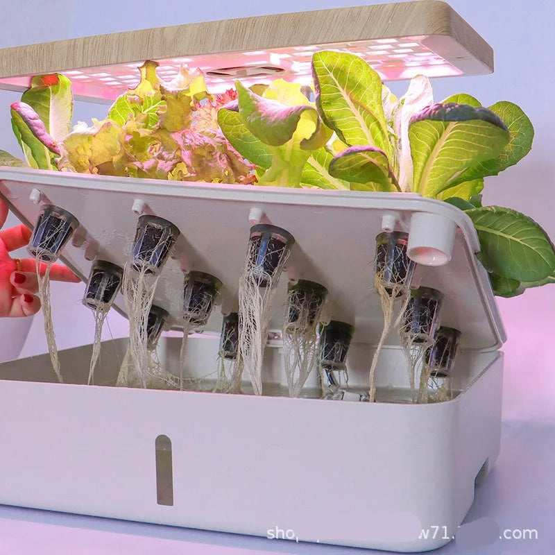 8 Hole Hydroponic System