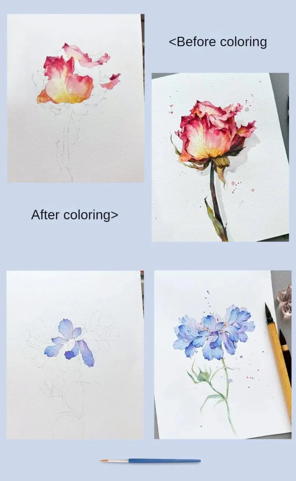 Pencil or Watercolor Coloring Book