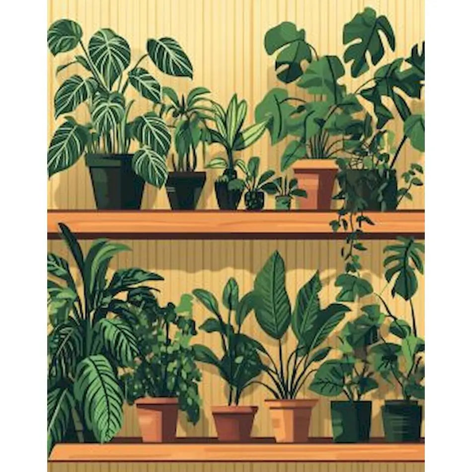 Painting by numbers indoor plants Potted plants Cactus