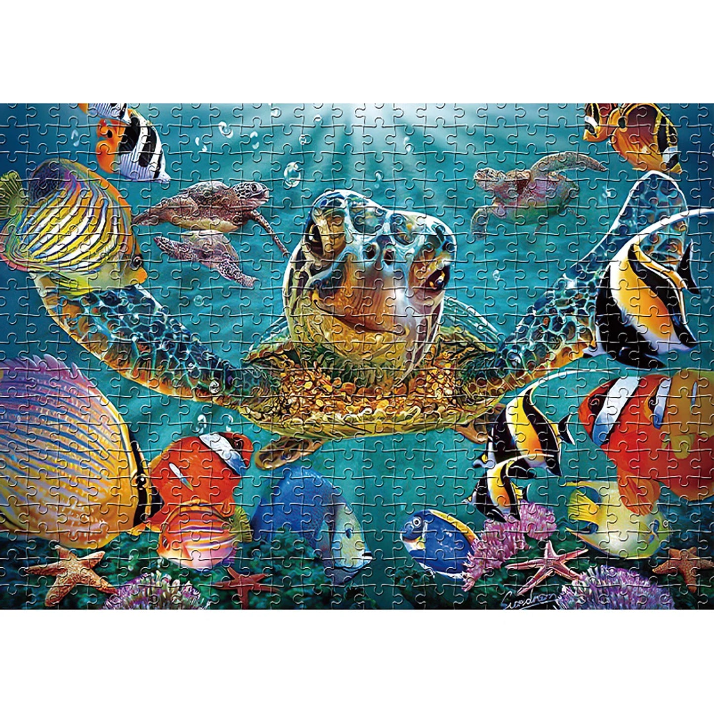 Puzzle de 1000 Pieces Tortue géante