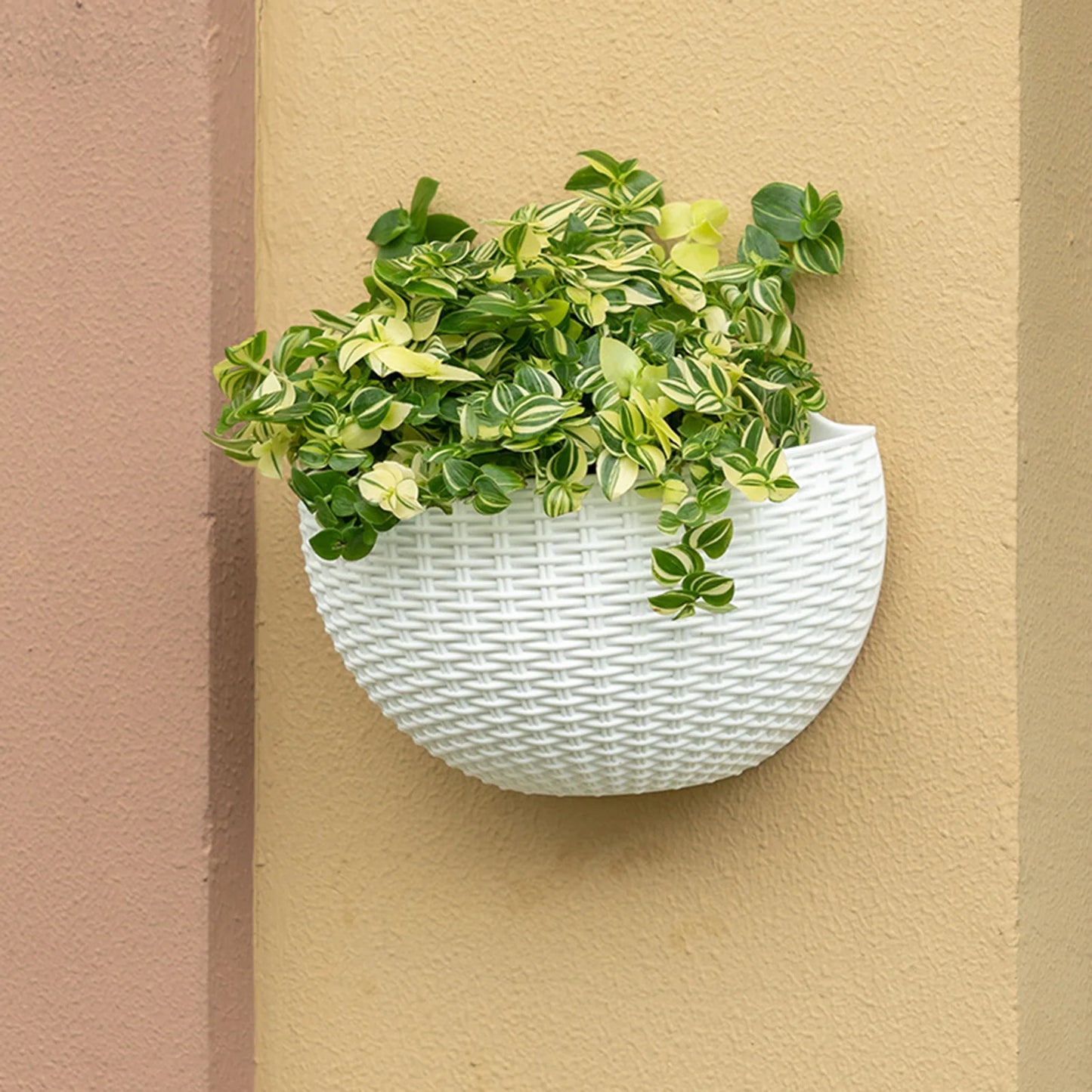 Hanging pot