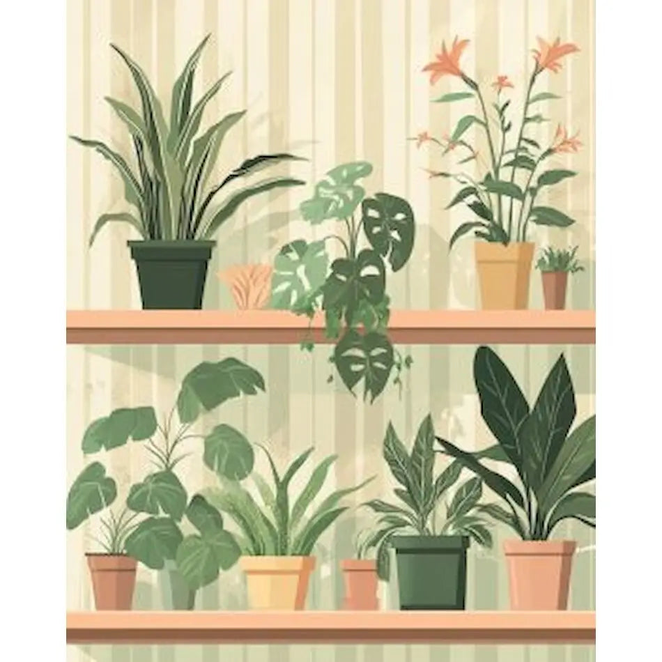 Painting by numbers indoor plants Potted plants Cactus