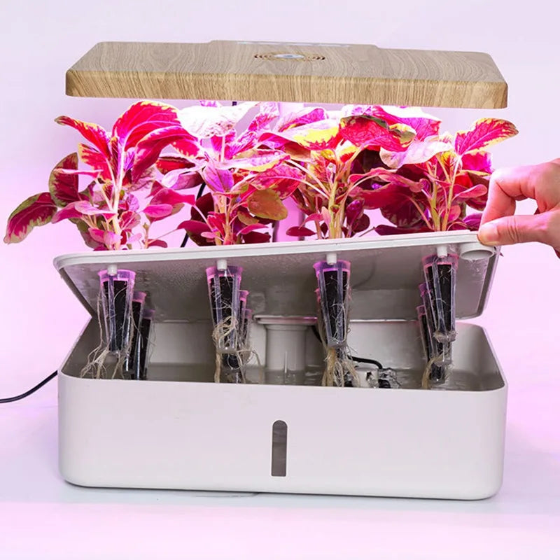 8 Hole Hydroponic System