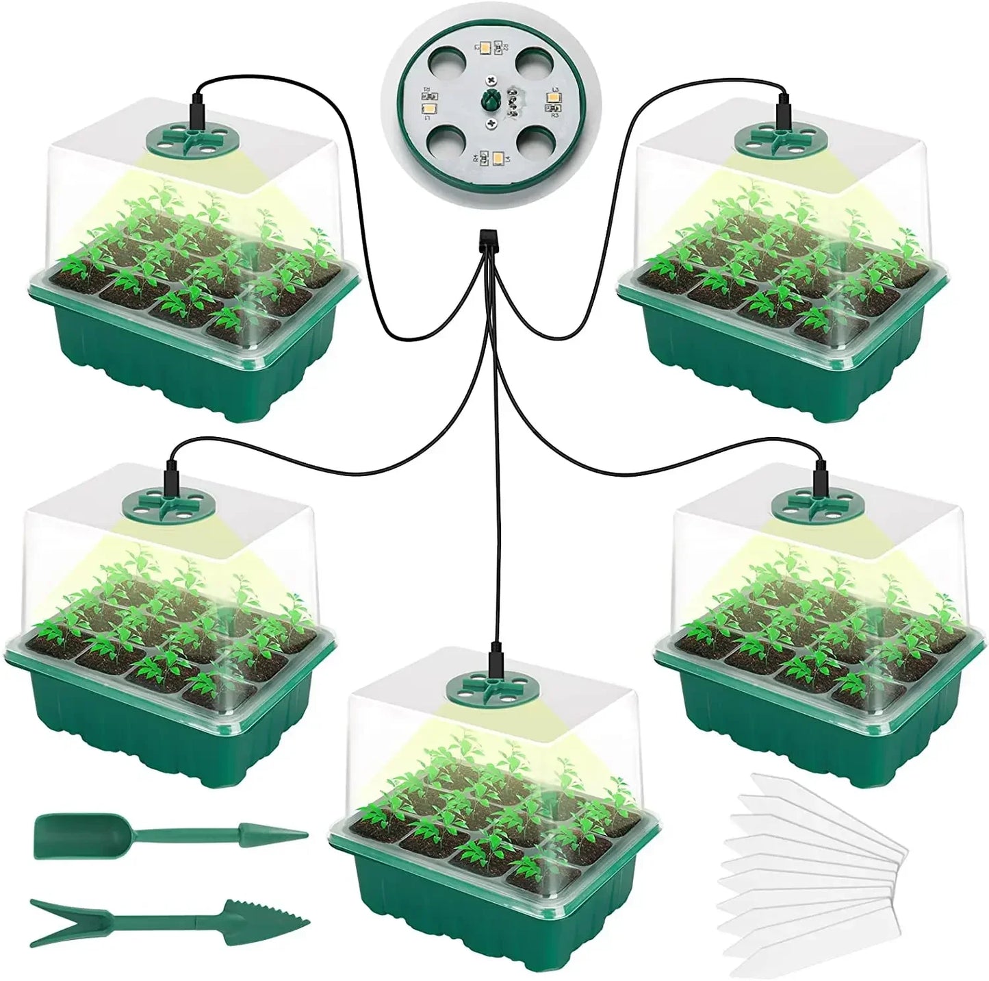 Mini Greenhouse for seedlings with lights