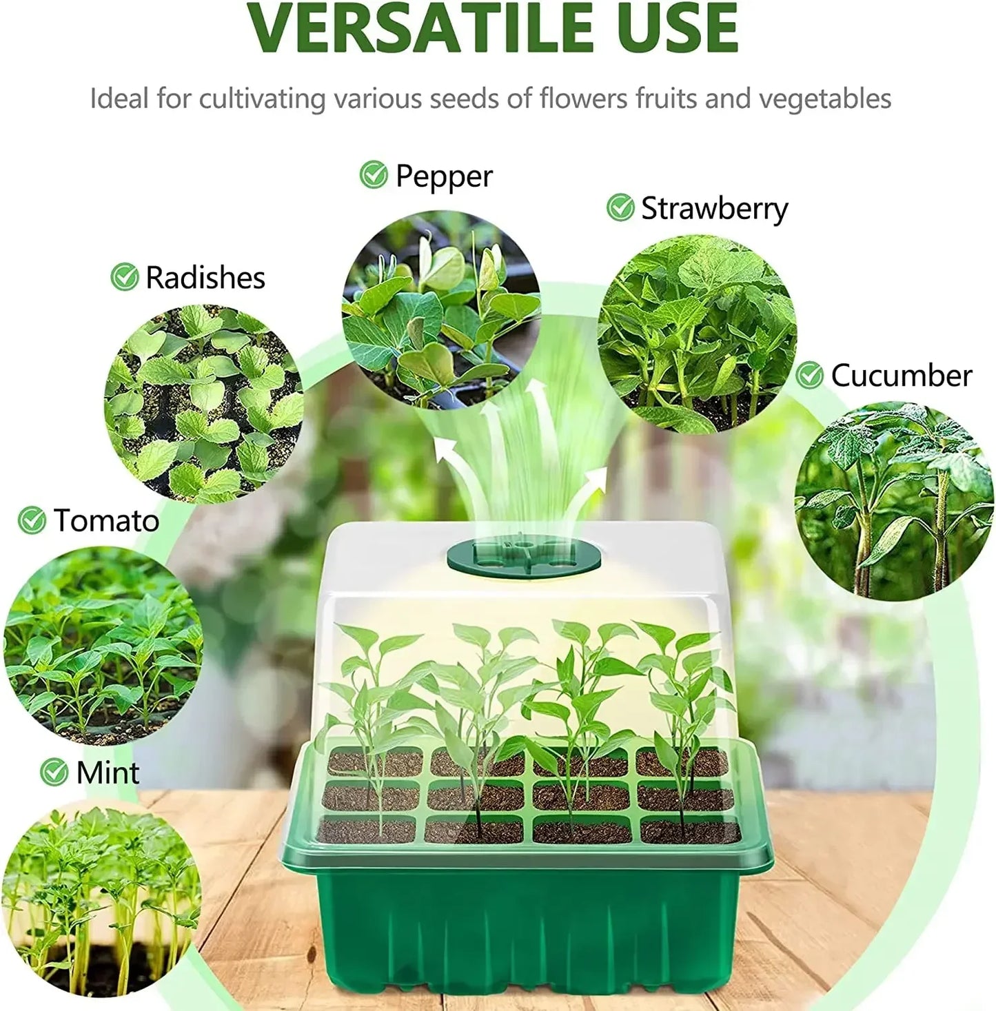 Mini Greenhouse for seedlings with lights