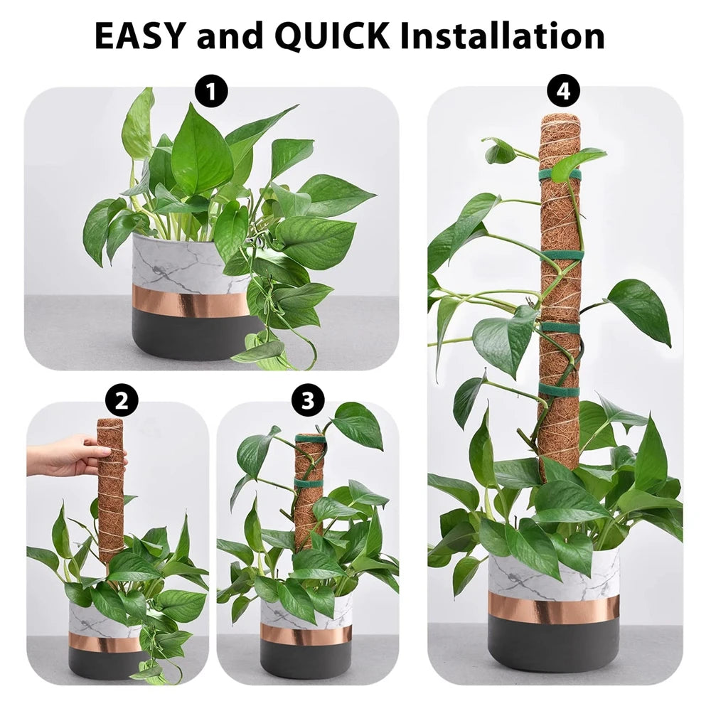 Poteau de support en coco pour plantes grimpantes