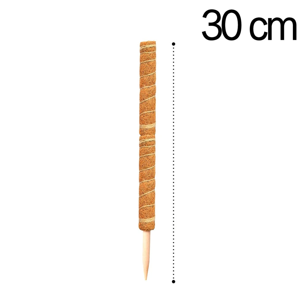 Poteau de support en coco pour plantes grimpantes