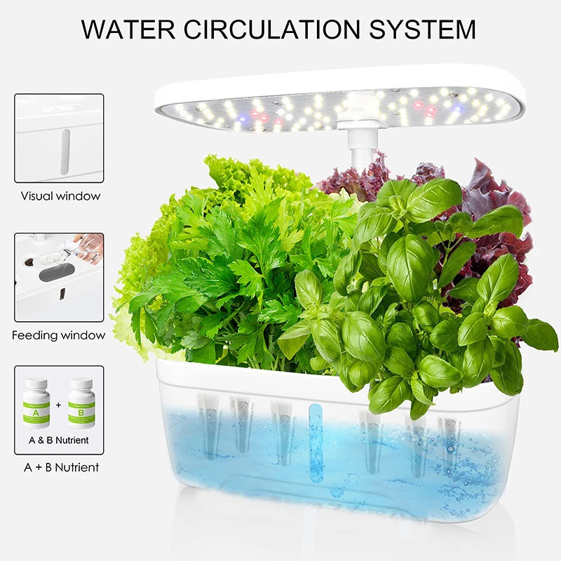 8 Hole Hydroponic System