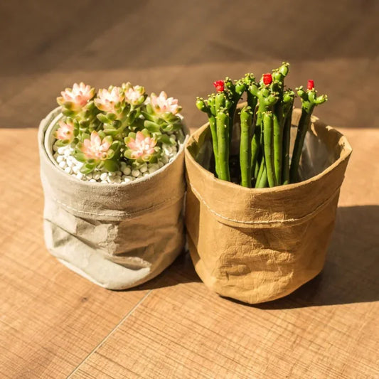 Pots en papier Kraft lavable